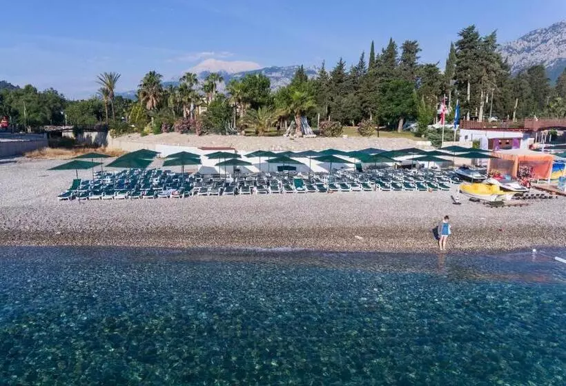 ホテル Kemer Dream