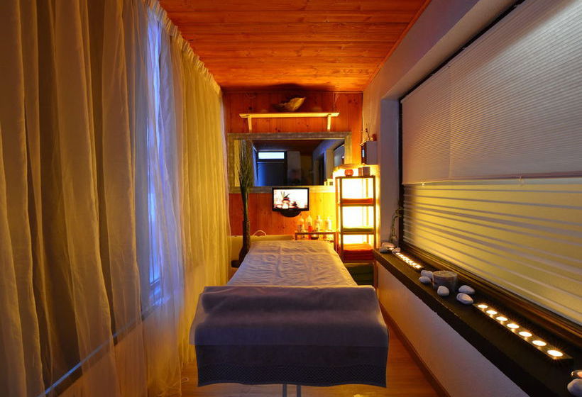 בית מלון כפרי La Meije