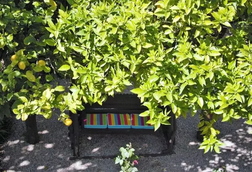 호텔 Pouso Dos Anjos