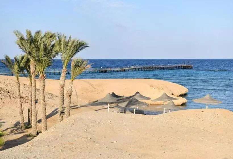 Wadi Lahmy Azur Resort - Soft All Inclusive
