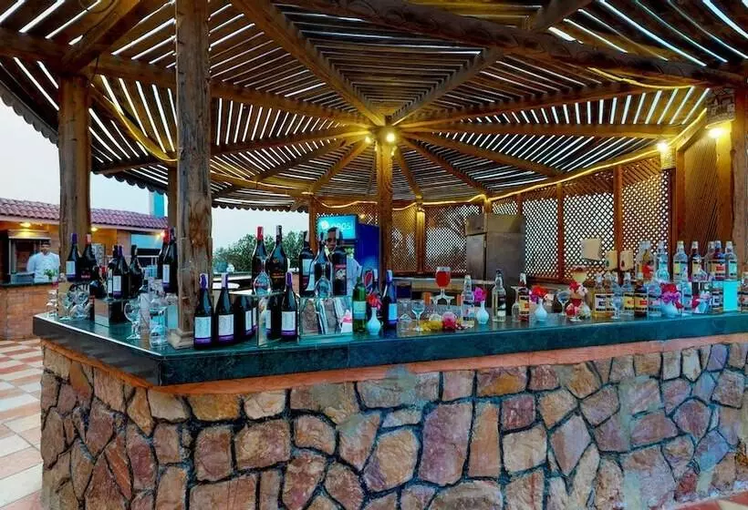 Wadi Lahmy Azur Resort - Soft All Inclusive