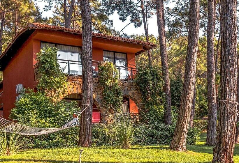 ホテル Marmaris Bay Resort   Adults Only