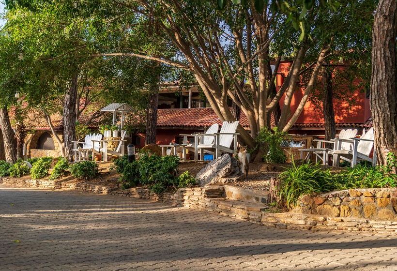 ホテル Marmaris Bay Resort   Adults Only