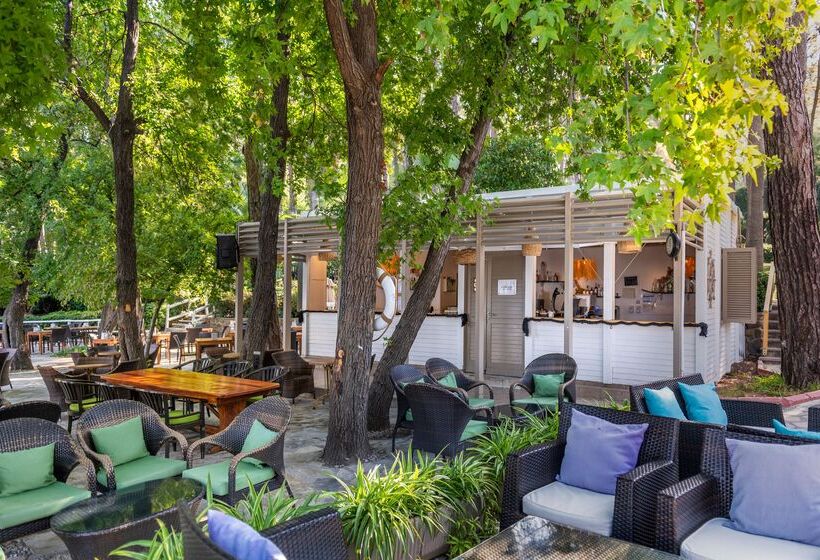 ホテル Marmaris Bay Resort   Adults Only