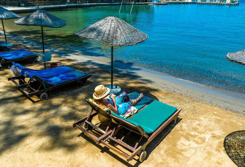 ホテル Marmaris Bay Resort   Adults Only