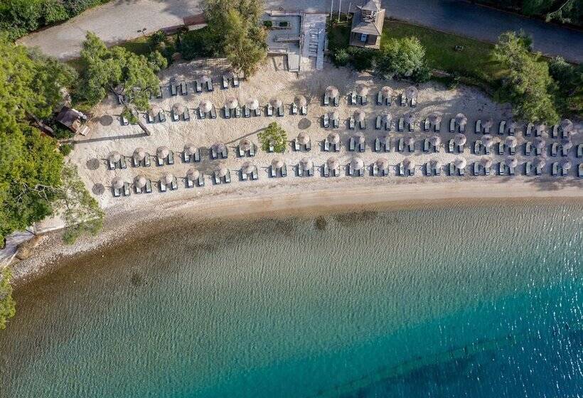 ホテル Marmaris Bay Resort   Adults Only