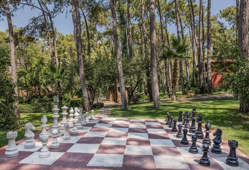 ホテル Marmaris Bay Resort   Adults Only