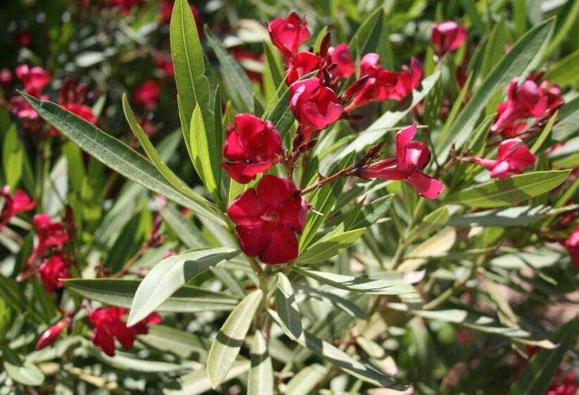 Hotel Residence Punta Longa