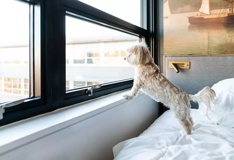 هتل The Revolution