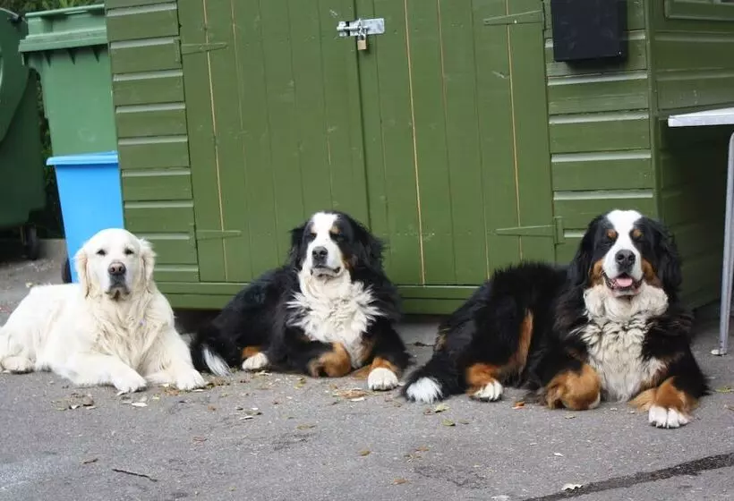 Отель Westhill Country