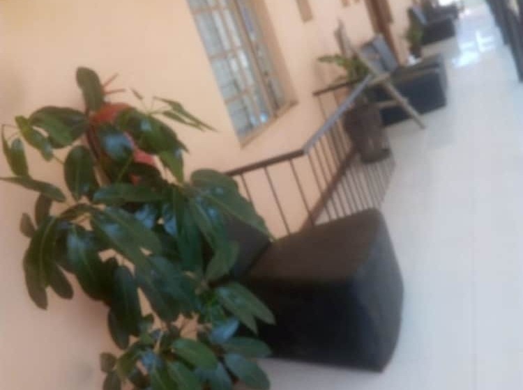 تختخواب و صبحانه Spoon Zoom Malazi