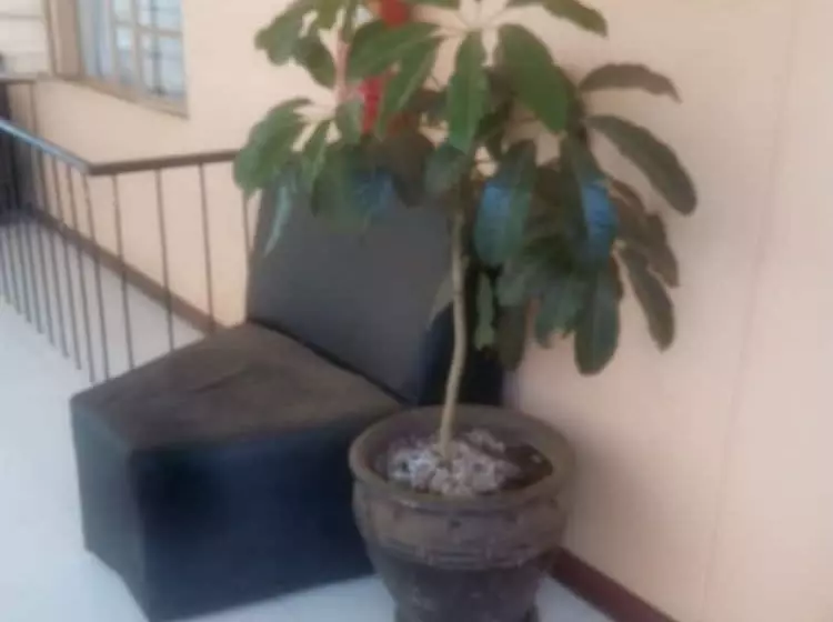 تختخواب و صبحانه Spoon Zoom Malazi