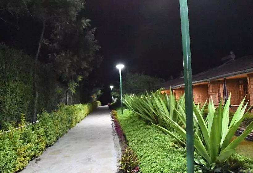 Hotel Starling Bird Resort