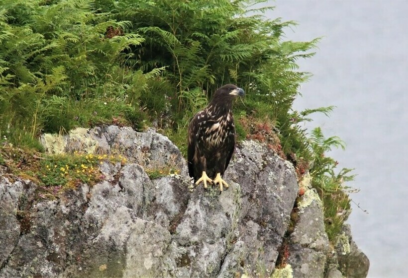 Lovely 1bed Cottage In Isle Of Mull