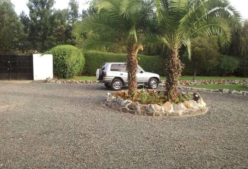 بنسيون Meg's Guest House