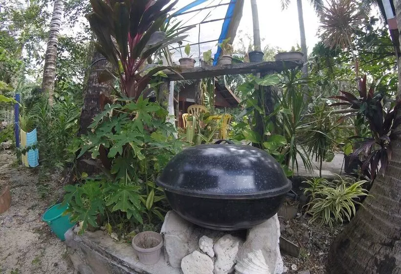 هتل Carabao Backpackers & Guesthouse