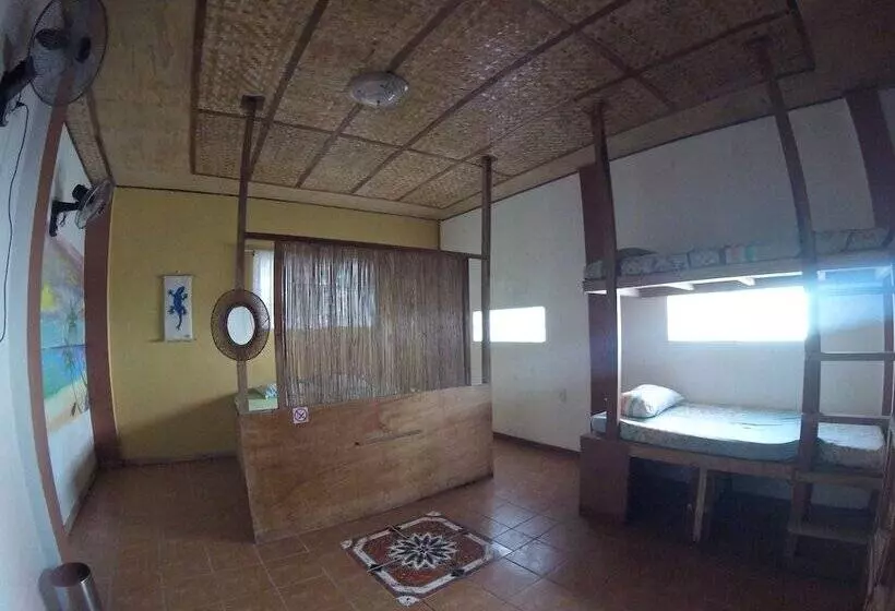 هتل Carabao Backpackers & Guesthouse