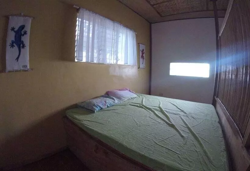 هتل Carabao Backpackers & Guesthouse