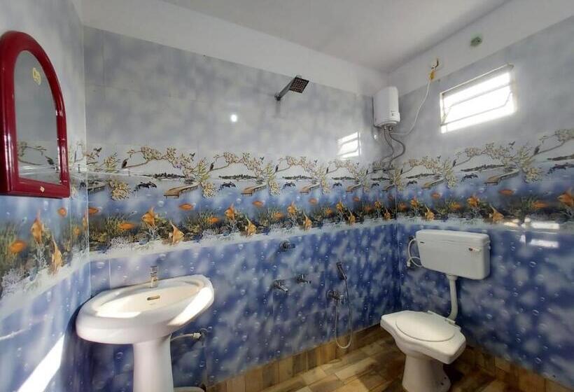 Отель Swastik Resort Tajpur