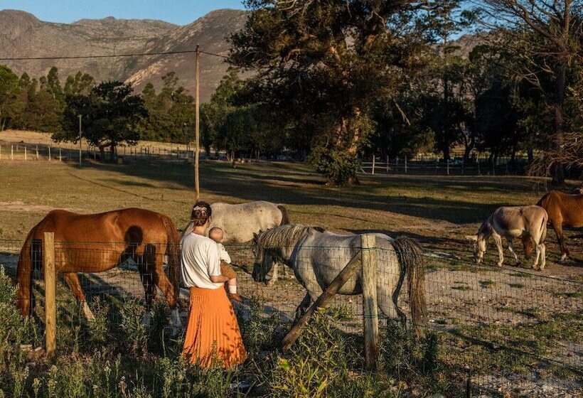 호텔 The Manor House At Knorhoek Estate