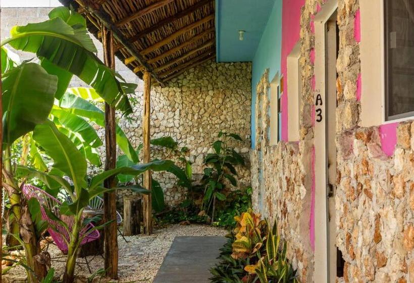 هاستل Valladolid 48 Hotel & Hostal