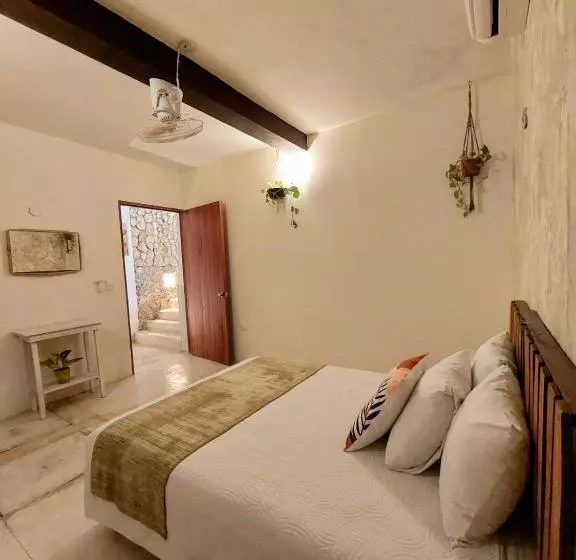 Retkeilymaja Valladolid 48 Hotel & Hostal