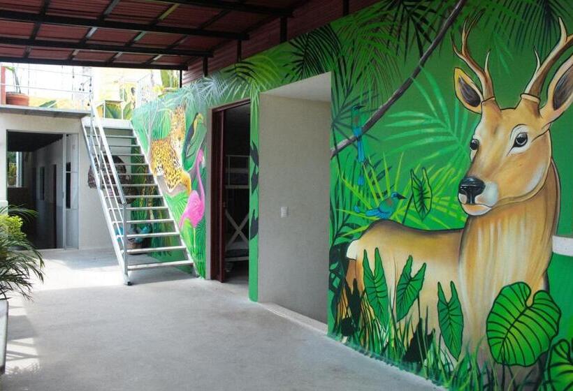 هاستل Valladolid 48 Hotel & Hostal