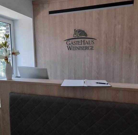 호텔 Gästehaus Weinberge