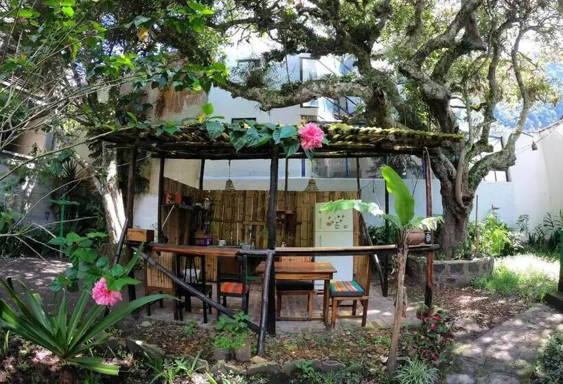Le Petit Jardin