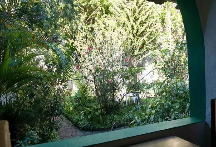 Le Petit Jardin