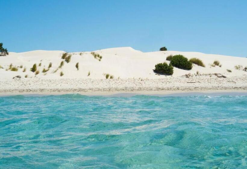 بنسيون Casa Janas Affittacamere Bed & Breakfast