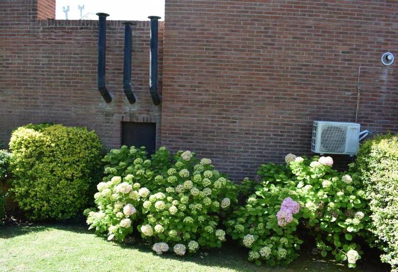 Brisa Apart Valeria Del Mar