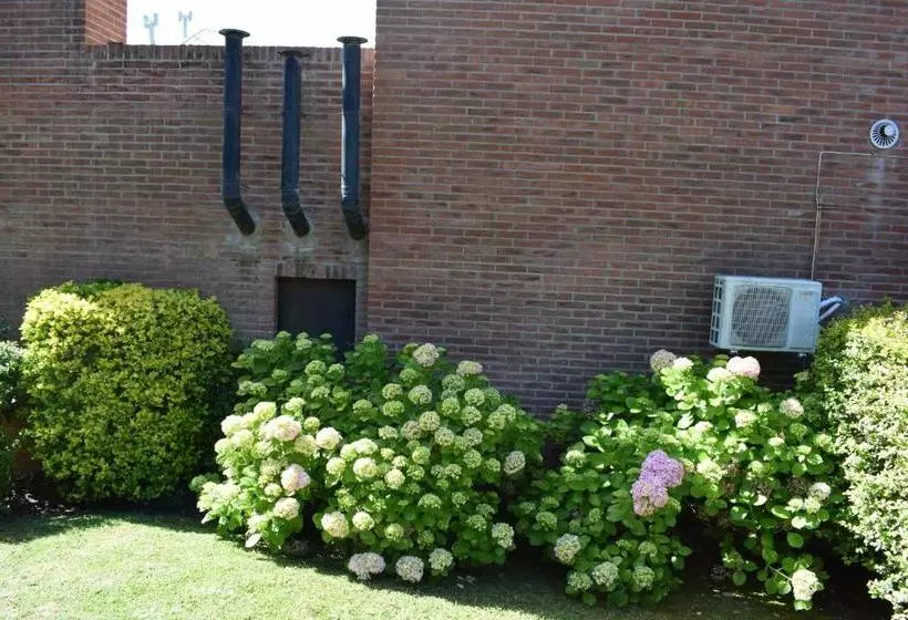 Brisa Apart Valeria Del Mar