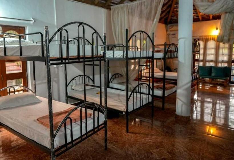 בית מלון כפרי Anjoned Hostel & Cafe