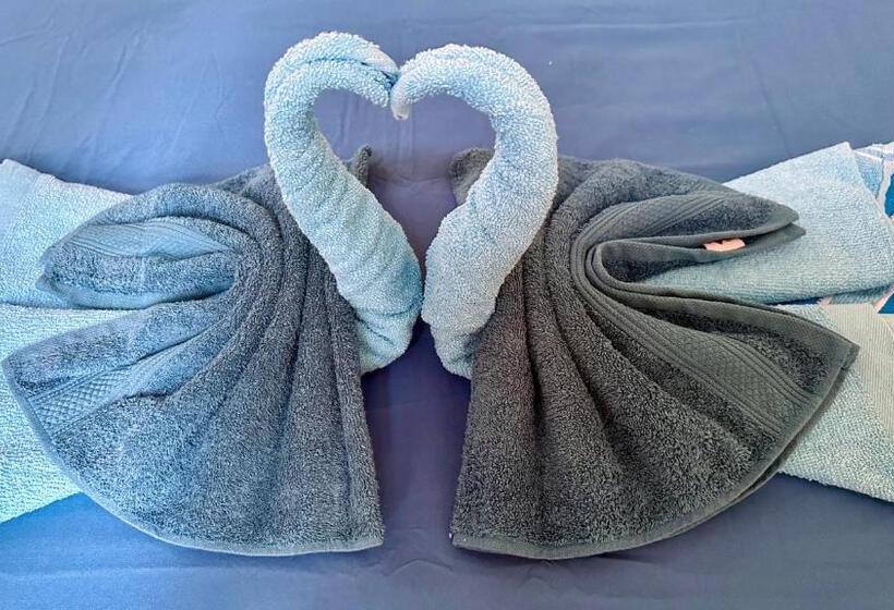 ペンション El Manantial De Corcovado