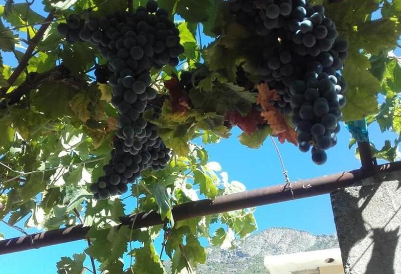 Pensionat Kulla E Vjeter