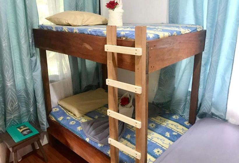 ペンション El Manantial De Corcovado