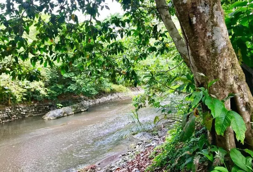 ペンション El Manantial De Corcovado