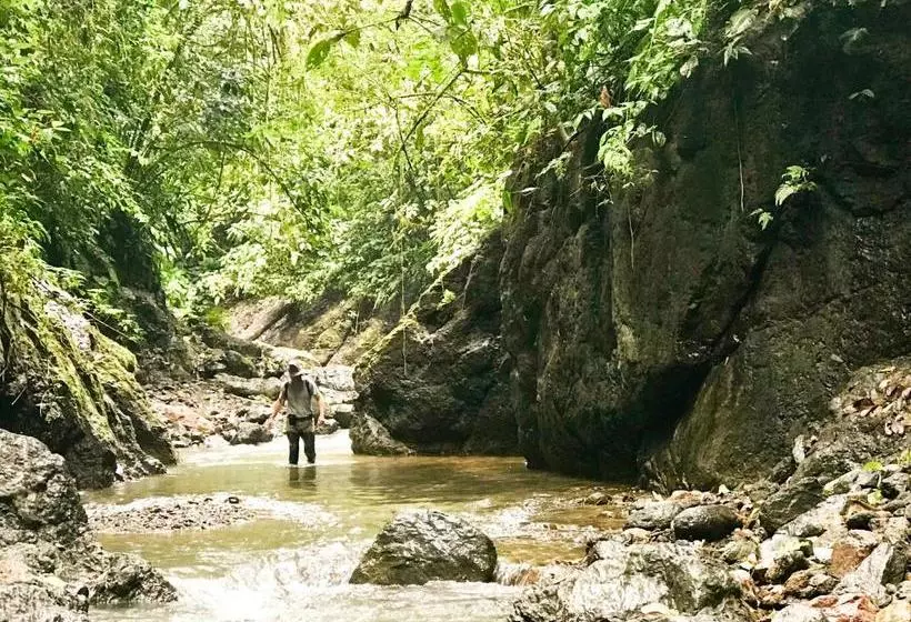 ペンション El Manantial De Corcovado