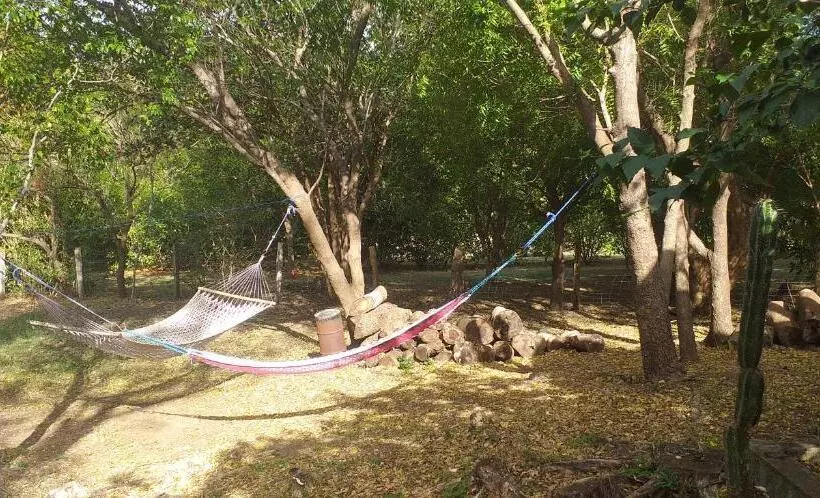 Aamiaismajoitus (B&B) Nasu Lodge