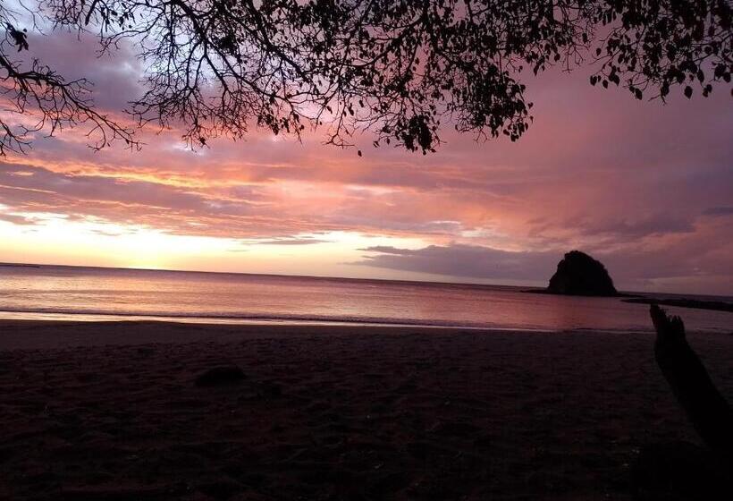 مبيت وإفطار Nasu Lodge