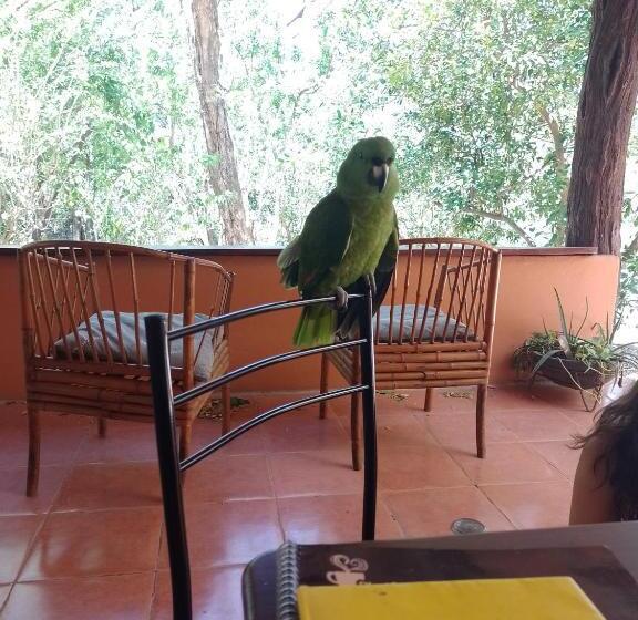 مبيت وإفطار Nasu Lodge