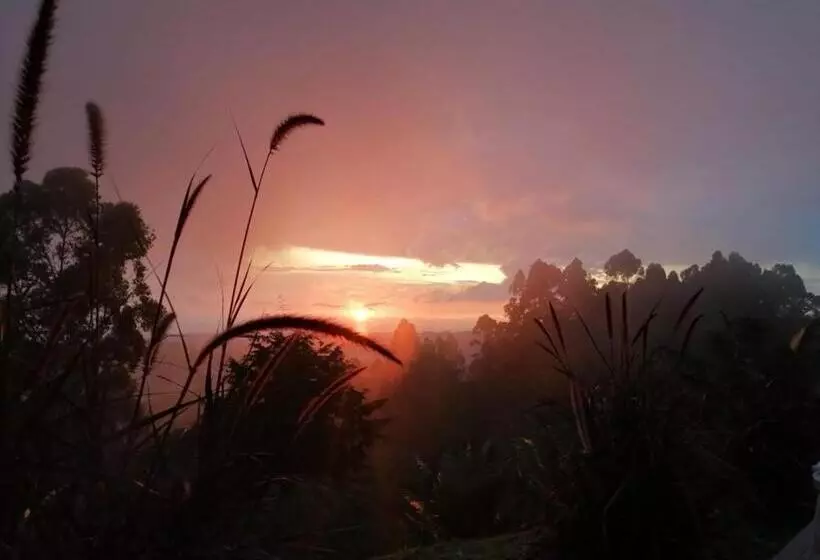 ホテル Natura Cocora