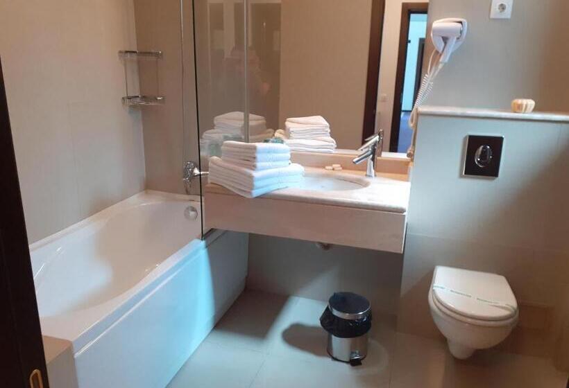 Hotel Pensiunea Constantin