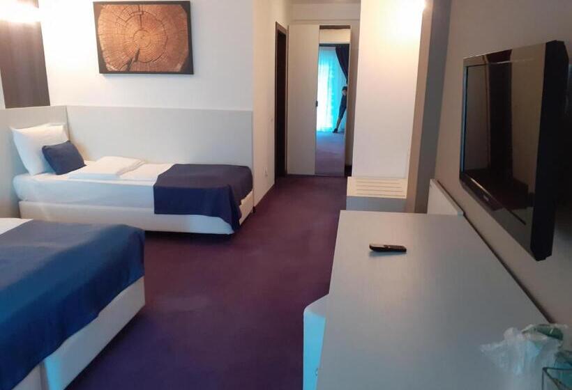 Hotel Pensiunea Constantin