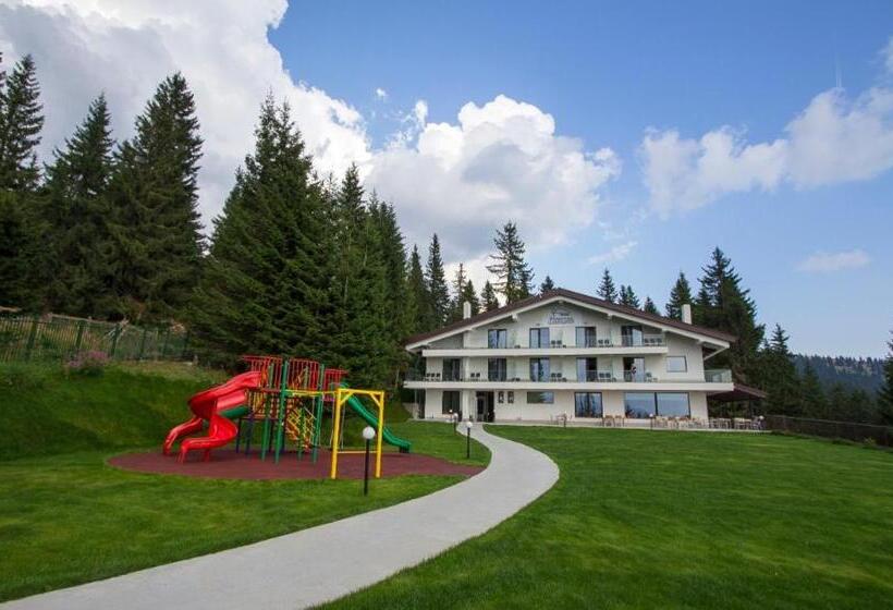 Hotel Pensiunea Constantin