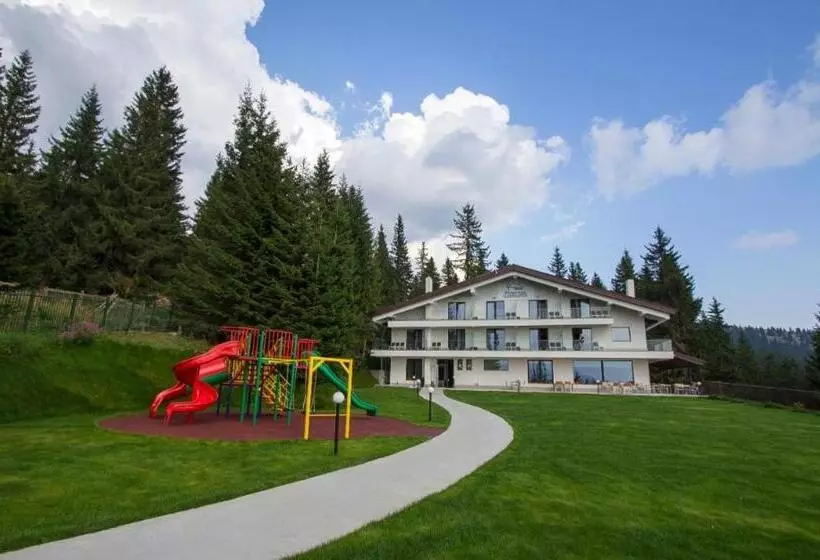 Hotelli Pensiunea Constantin