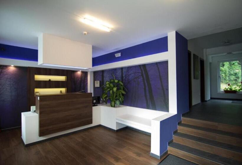 Hotel Pensiunea Constantin