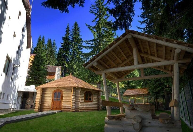 Hotel Pensiunea Constantin