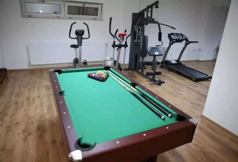 Hotelli Pensiunea Constantin